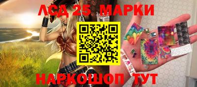 крисы Шебекино