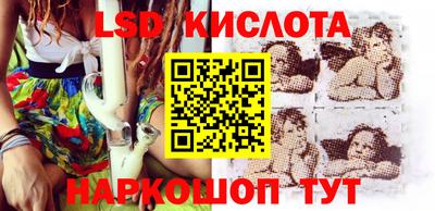 крисы Шебекино