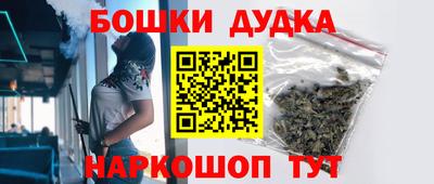 крисы Шебекино