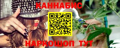 крисы Шебекино