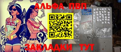 крисы Шебекино