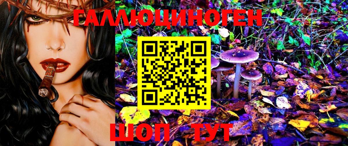 Галлюциногенные грибы Magic Shrooms Новотроицк