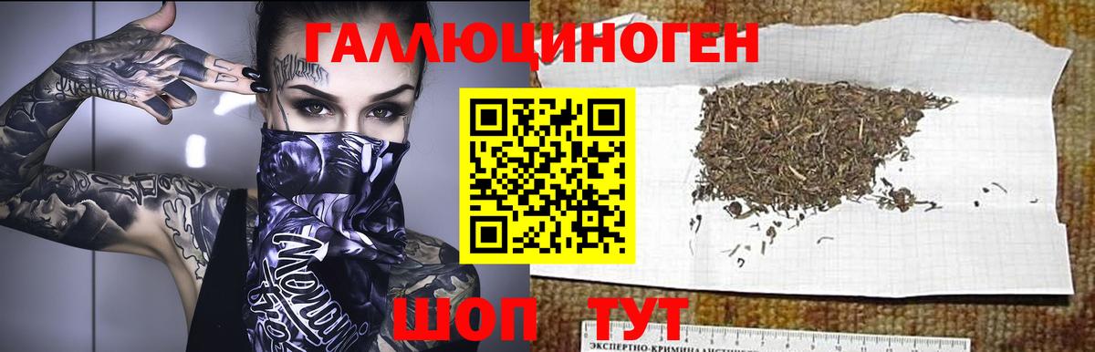 Новотроицк  Псилоцибиновые грибы мицелий  Вход с VPN 